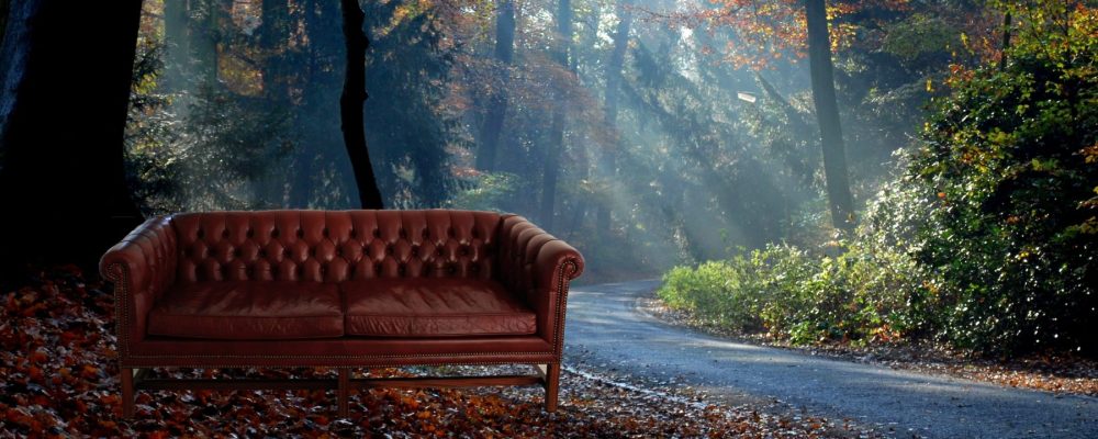 cropped-couch-in-forest.jpg